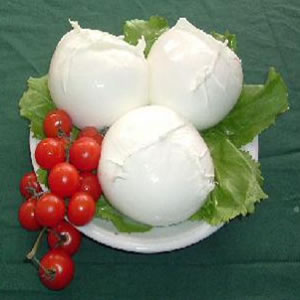 mozzarella1.jpg